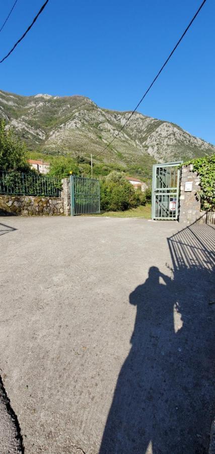 Apartman Barbara Kotor Exterior foto